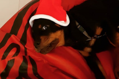 2019-12-14_18-16-03